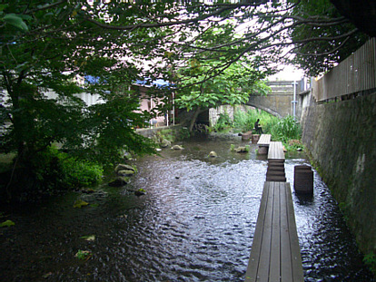 CIMG0762.jpg